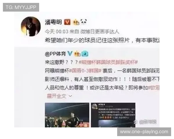 足球迷与球星的身份差异与独特魅力分析